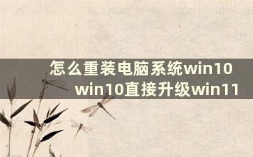 怎么重装电脑系统win10 win10直接升级win11